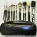 Mac 12pcs Brush Set
