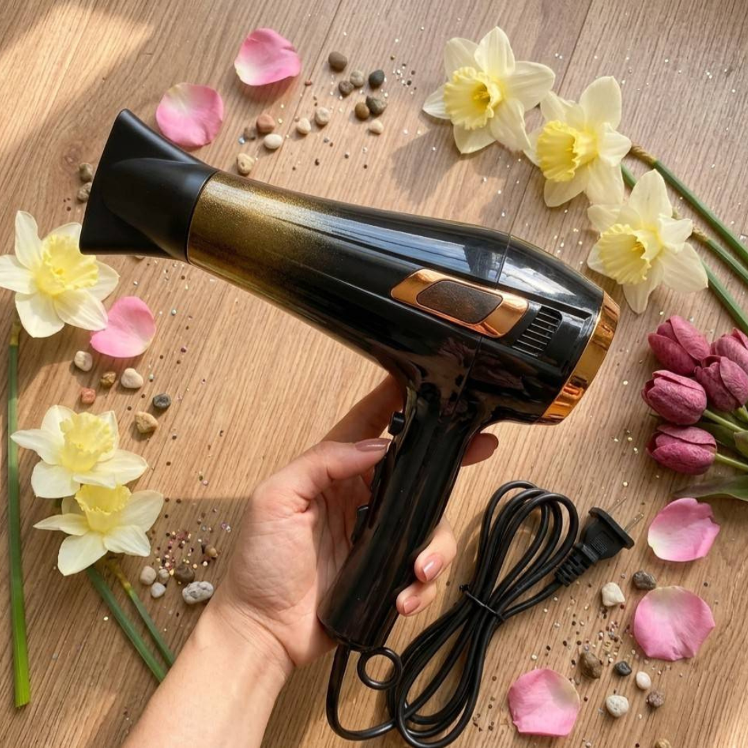 Riwa 2000W Hair Dryer