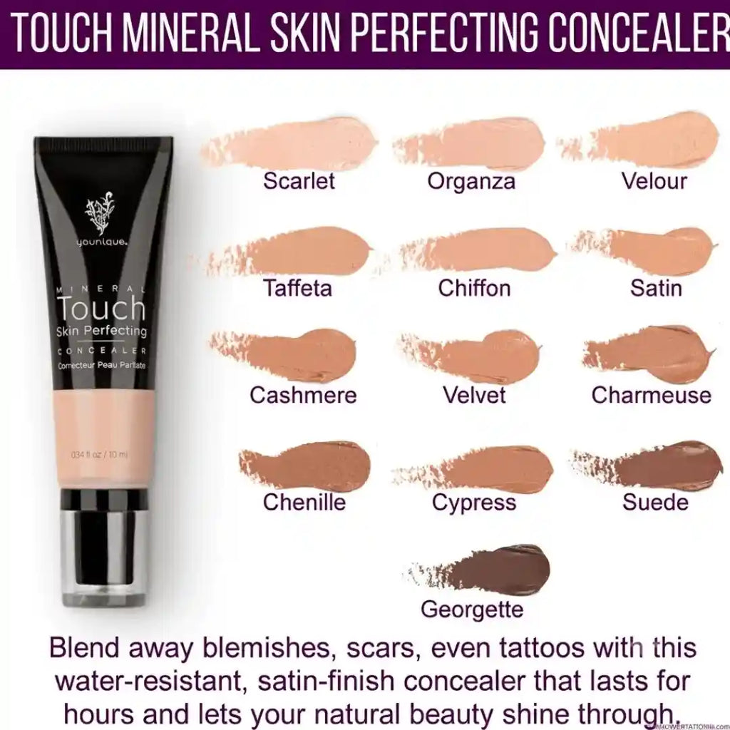 Touch Concealer